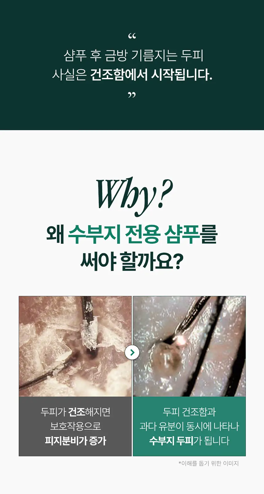 [NEW] 솔랩 헤어루트 코어 밸런싱 샴푸 400ml 상세페이지 4